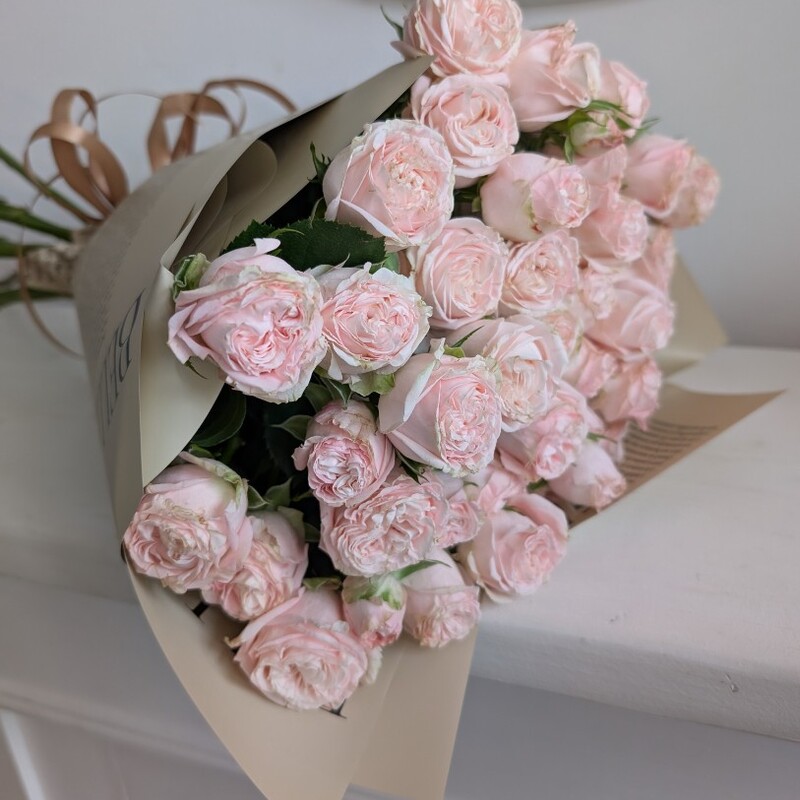 Кустовые Мадам Бомбастик