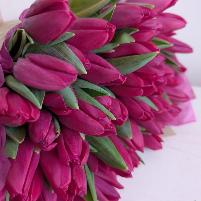 Букет тюльпанов #2