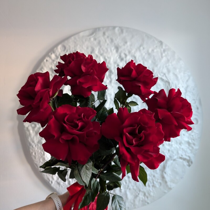 Красные французские розы с лентами