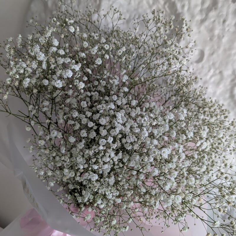 Букет гипсофилы белой