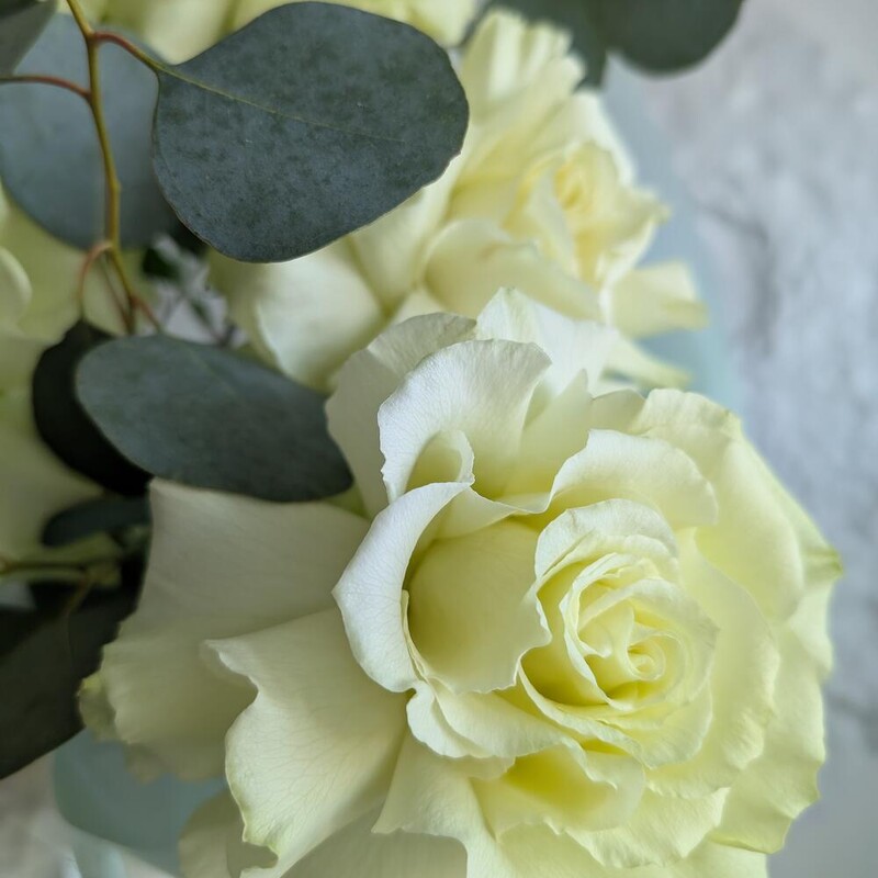 Белые розы с эвкалиптом в упаковке