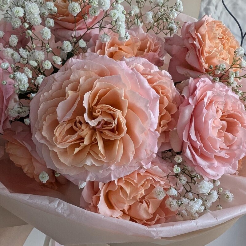 Розы пионовидные с гипсофилой