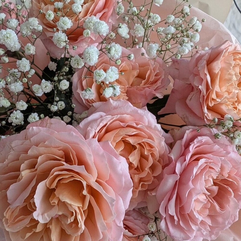 Розы пионовидные с гипсофилой