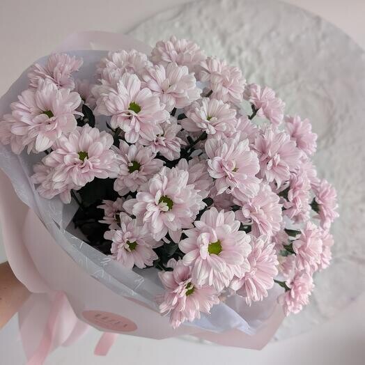 75 розовых ромашек