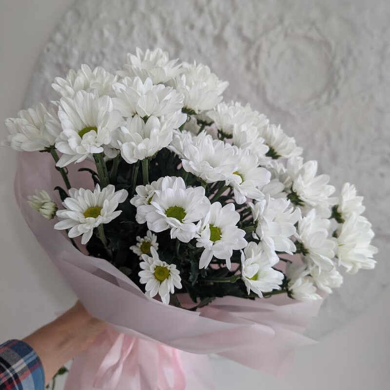 75 белых ромашек