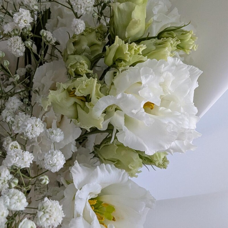 Нежный белый с эустомой