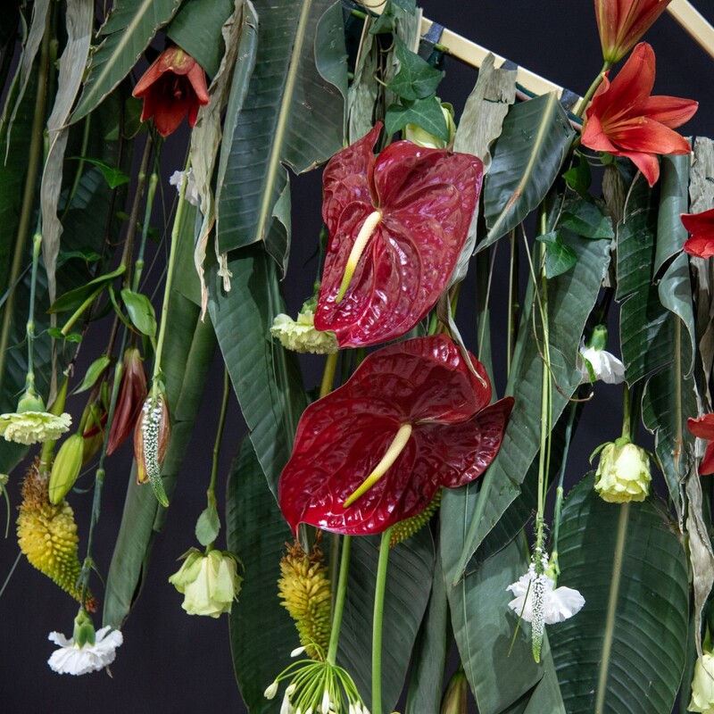 Фотозона арка из живых цветов #2