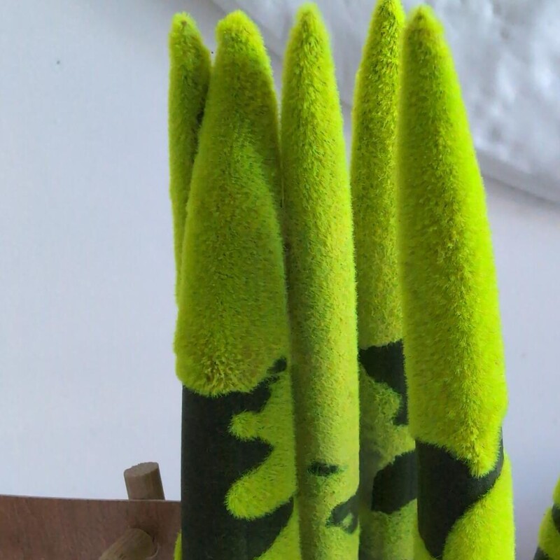 Сансиверия с напылением Желтая