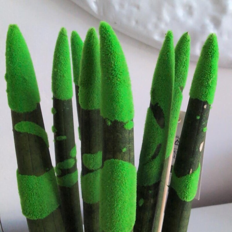 Сансиверия с напылением Зеленый