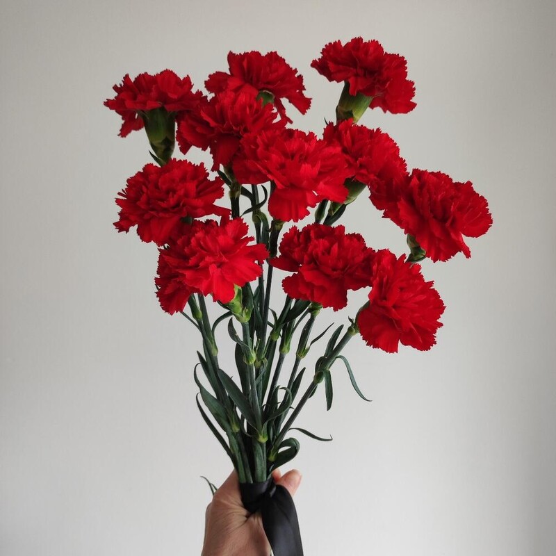 Гвоздика с лентой