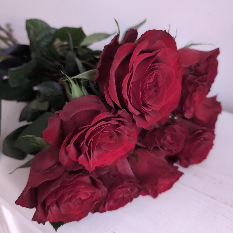 Розы красные с лентой