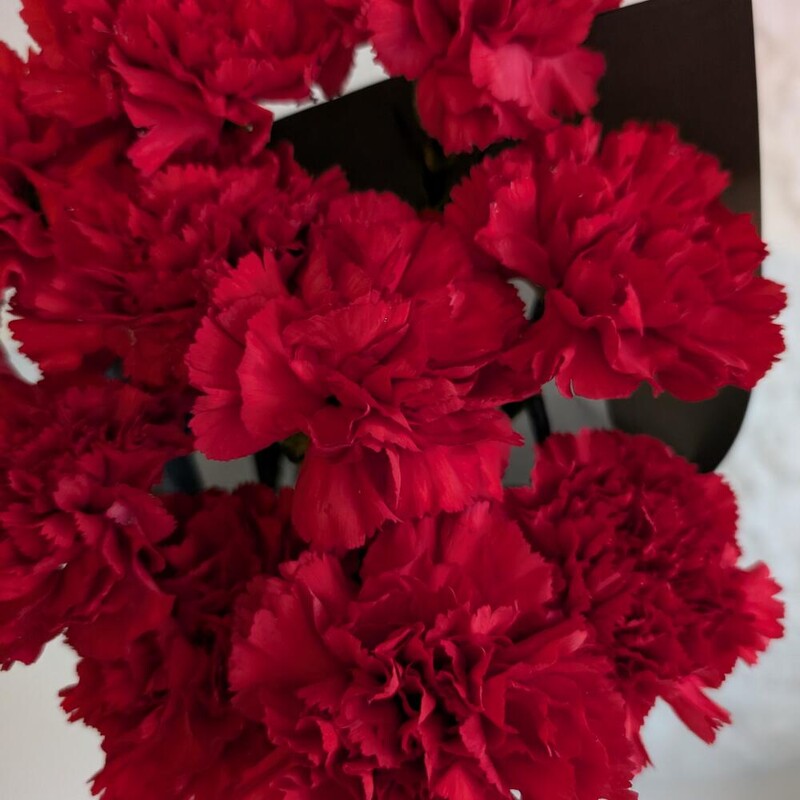 Гвоздика в упаковке