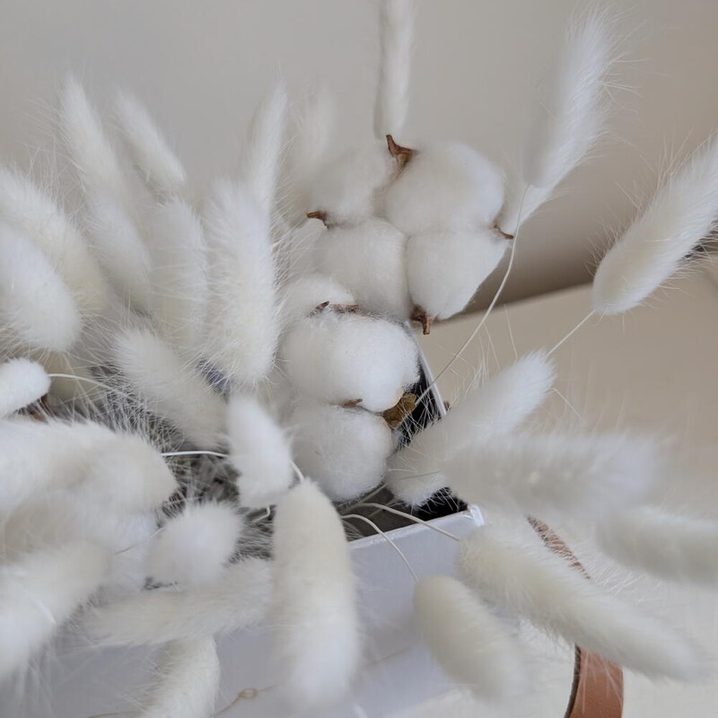 Сумочка с хлопком и лагурусом