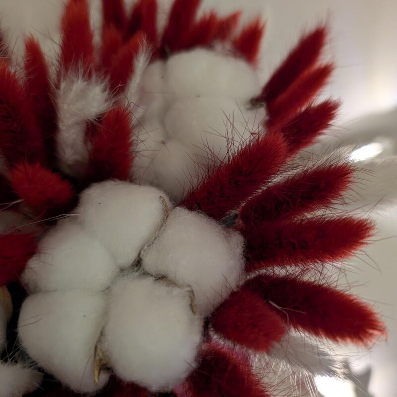 Композиция с лагурусом и хлопком