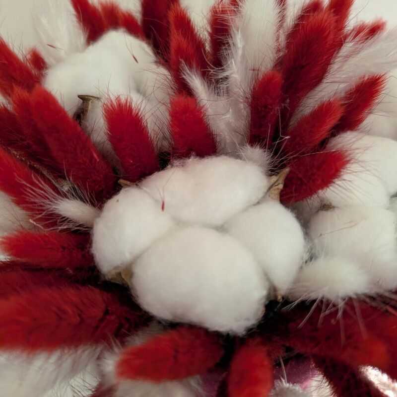 Композиция с лагурусом и хлопком