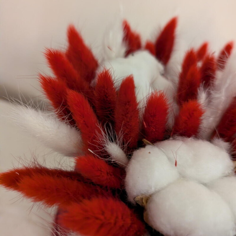 Композиция с лагурусом и хлопком