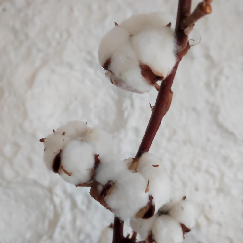 Хлопок натуральный