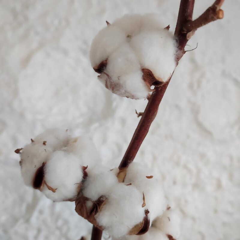 Хлопок натуральный