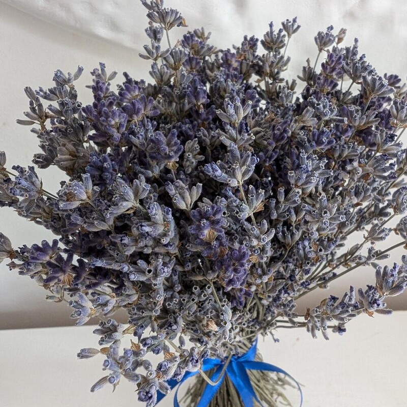 Букетик лаванды