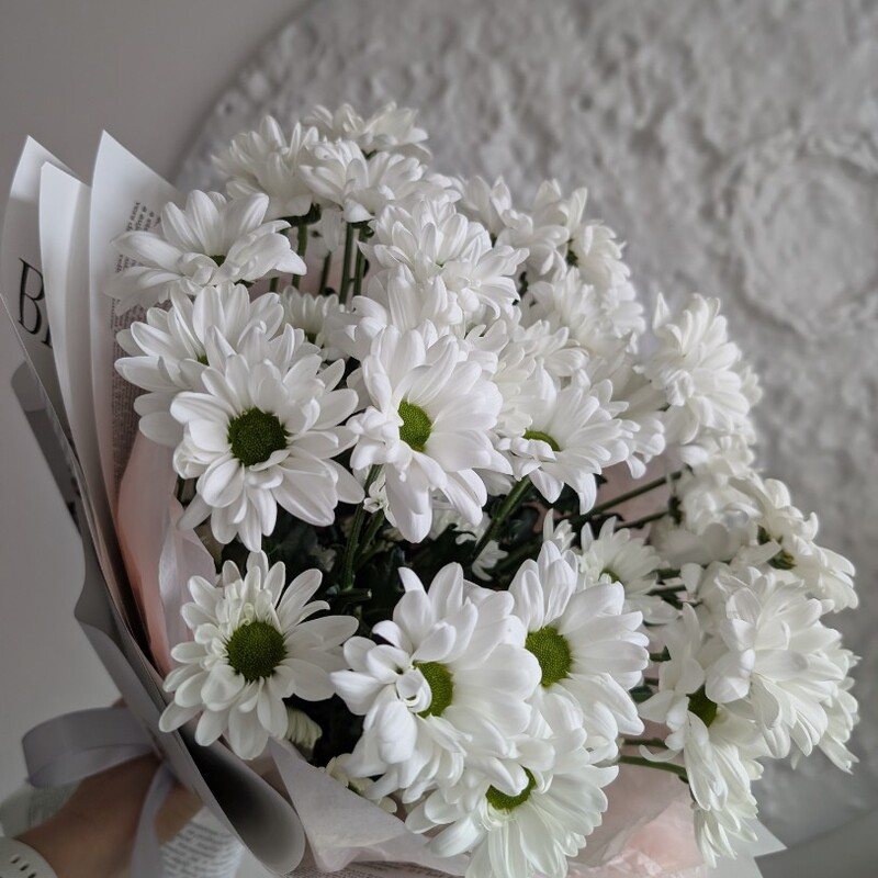 105 белых ромашек