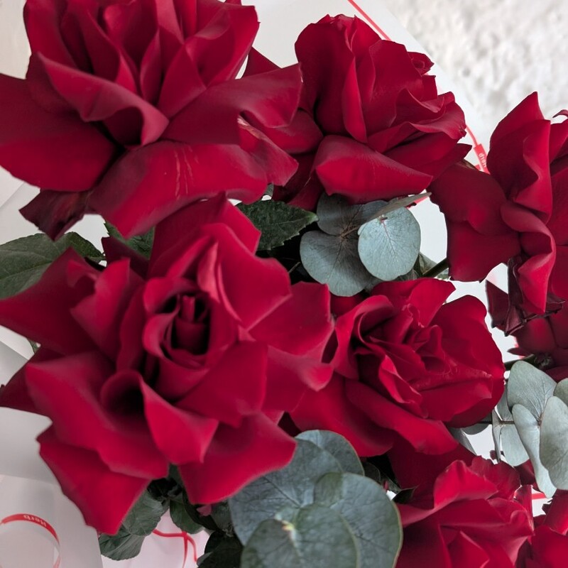 Красные французские розы с эвкалиптом,