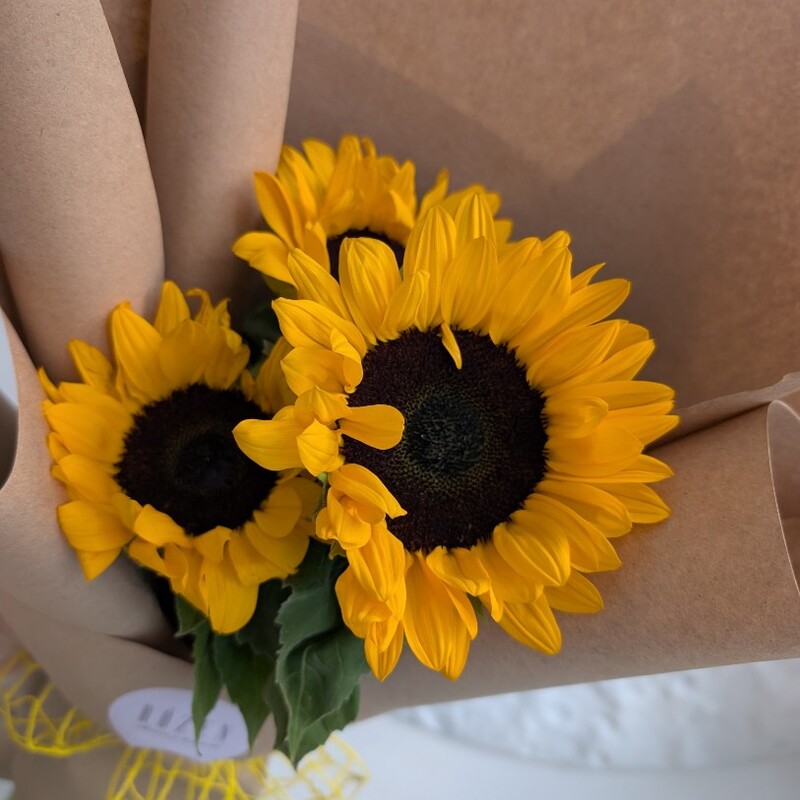 Подсолнухи,3 шт