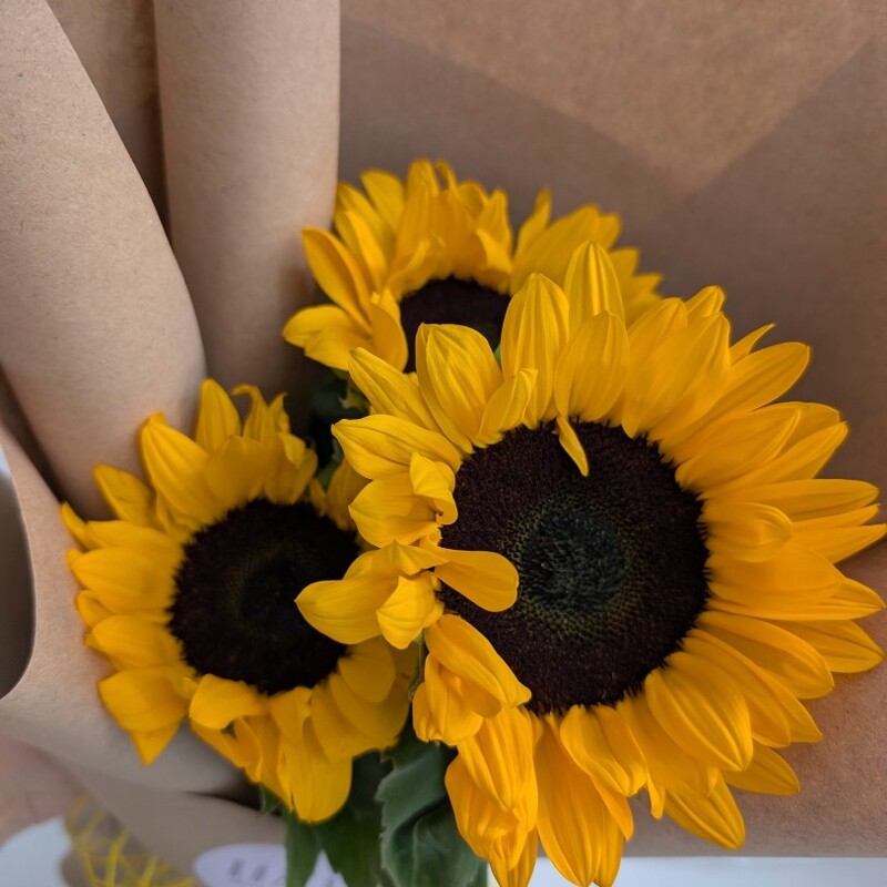 Подсолнухи,3 шт