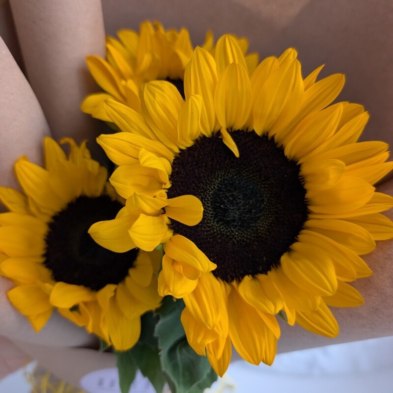 Подсолнухи,3 шт