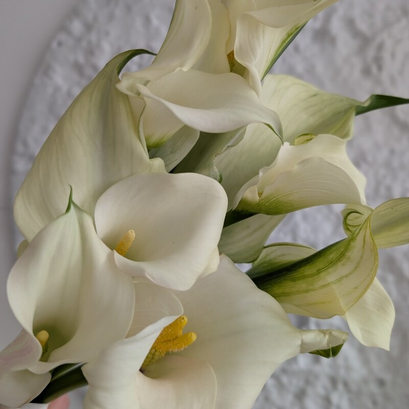 Букет калл, 7 шт