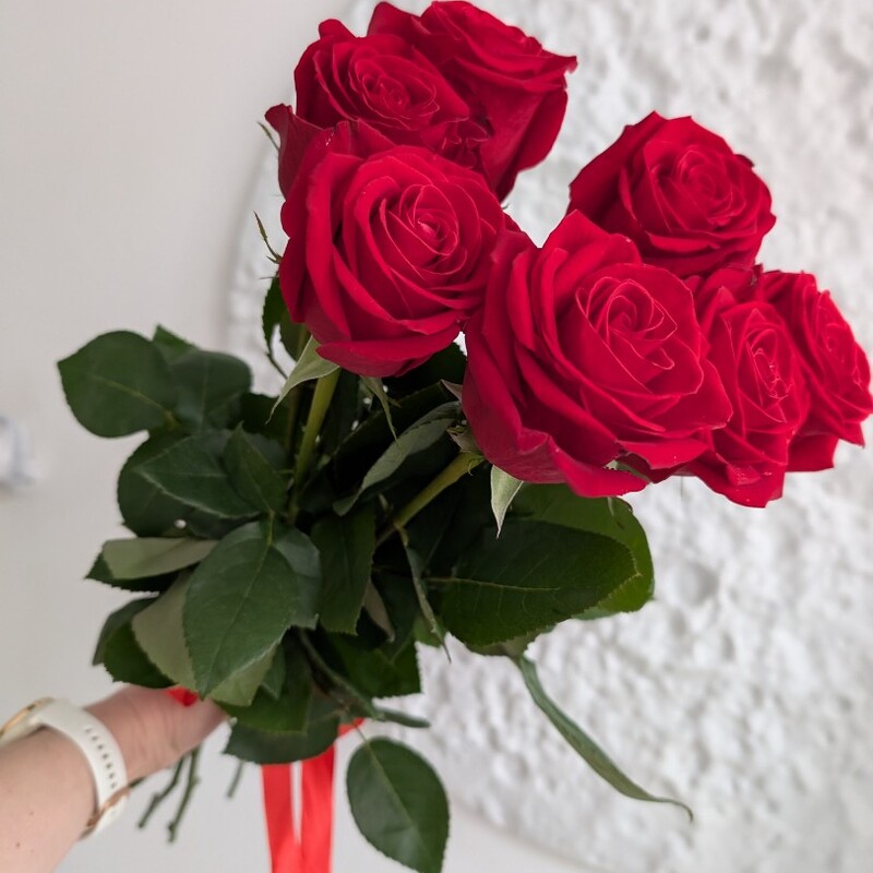 Розы красные