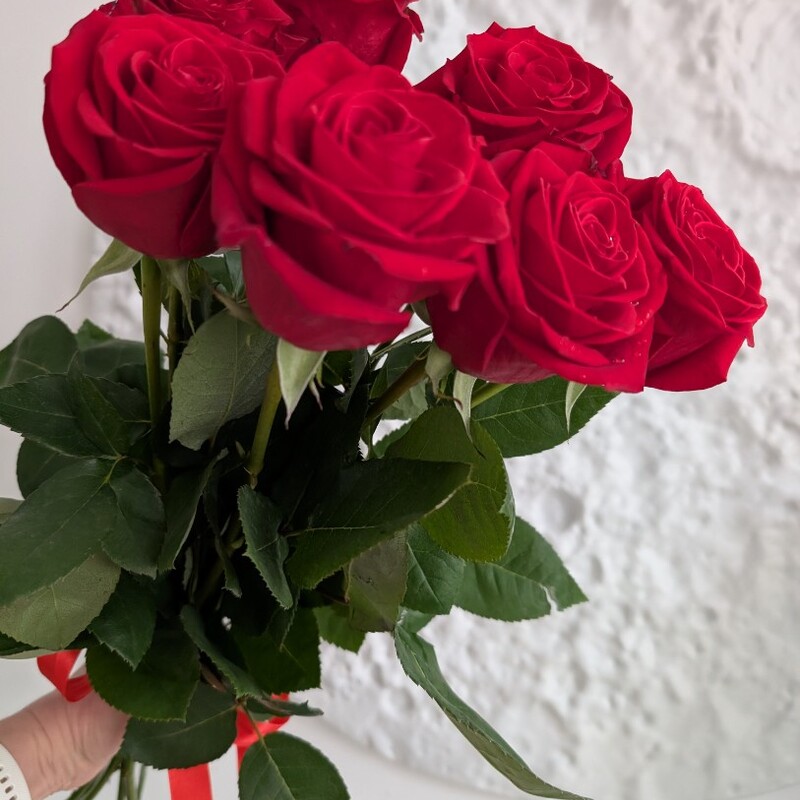 Розы красные