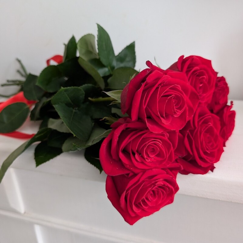 Розы красные