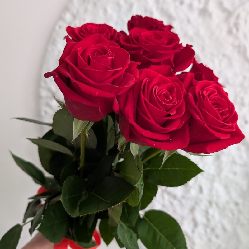 Розы красные