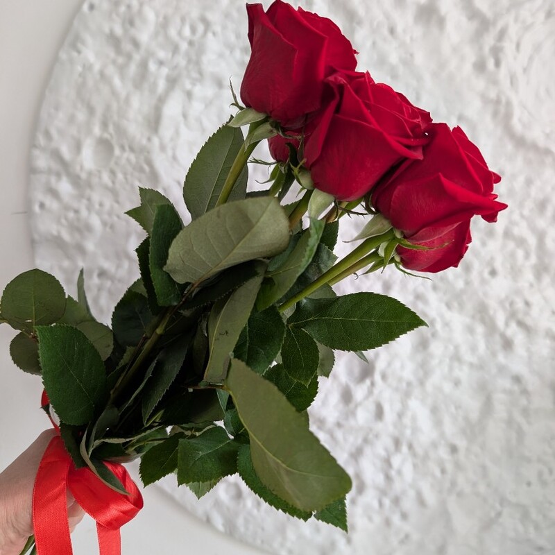 Розы красные