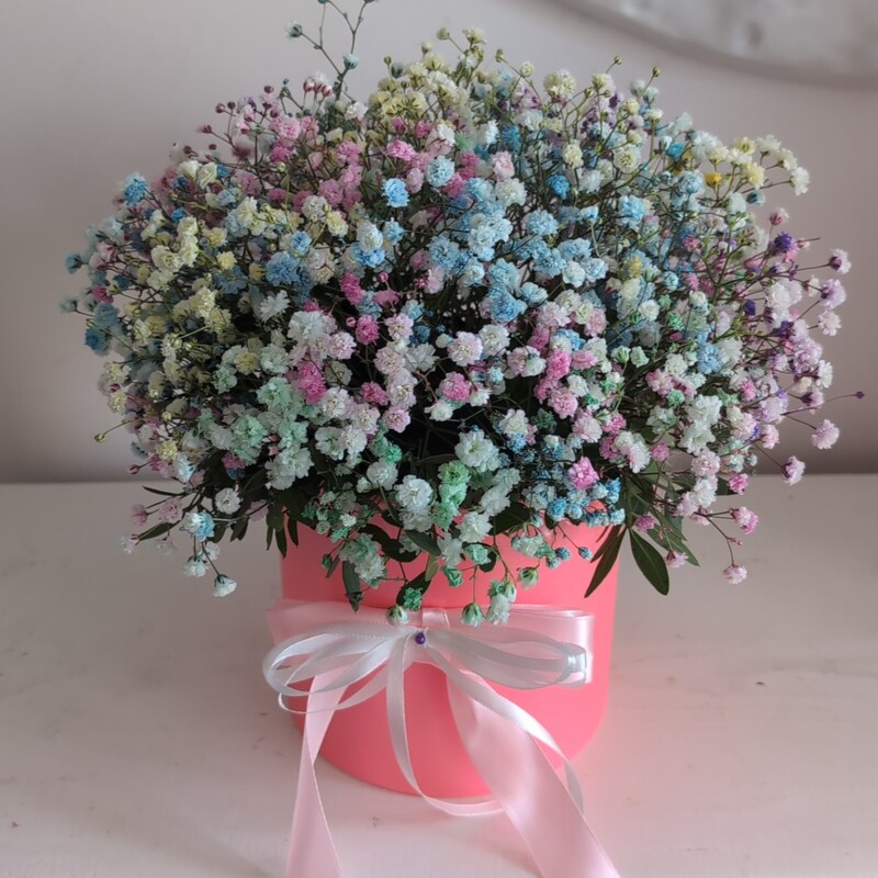 Радужная коробочка с гипсофилой