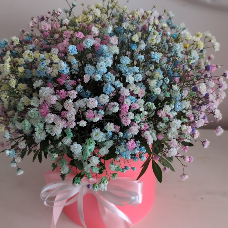 Радужная коробочка с гипсофилой