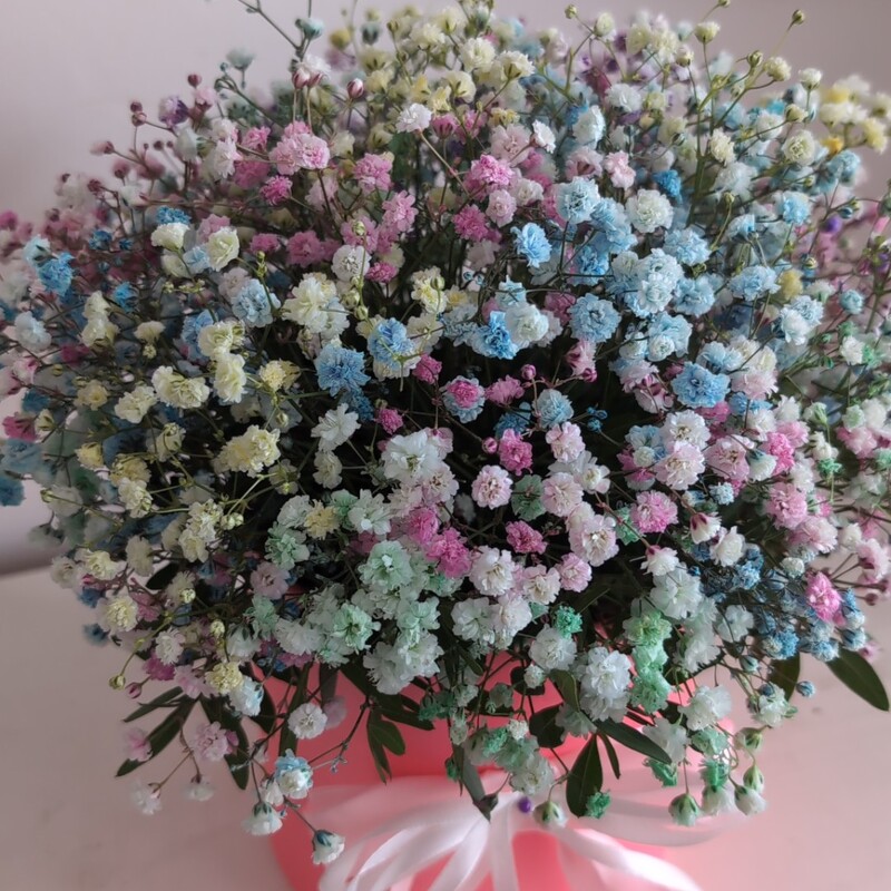 Радужная коробочка с гипсофилой