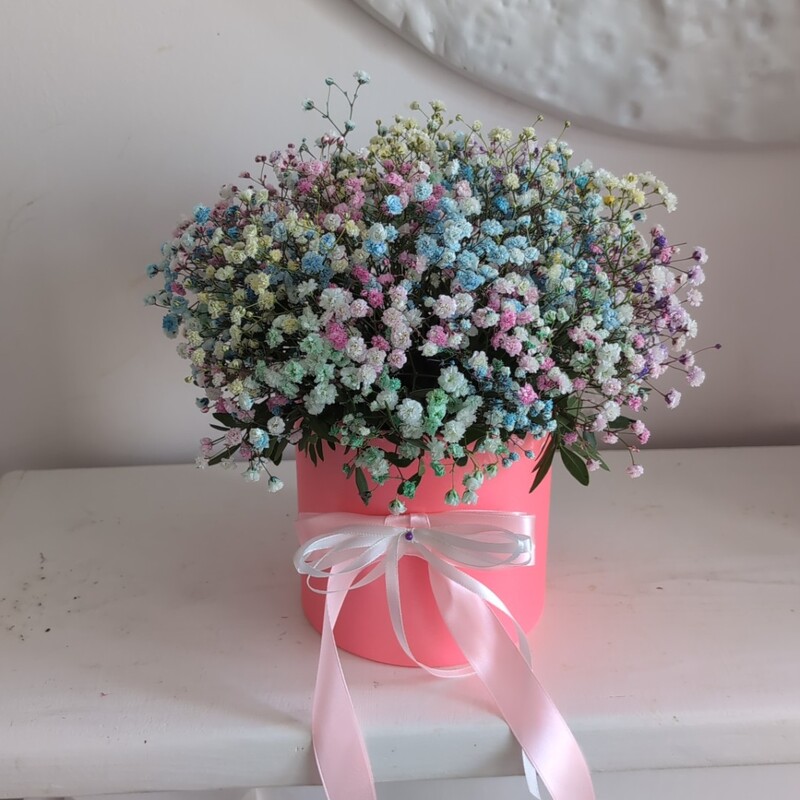 Радужная коробочка с гипсофилой
