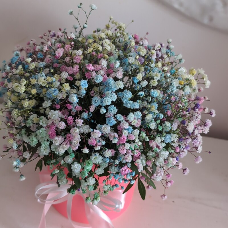 Радужная коробочка с гипсофилой