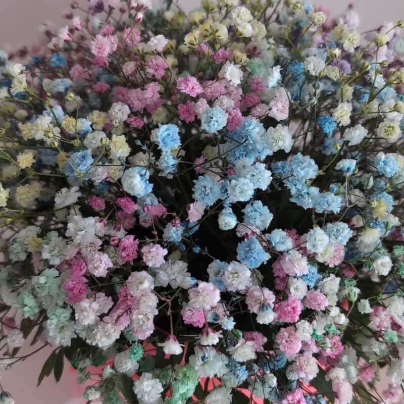 Радужная коробочка с гипсофилой