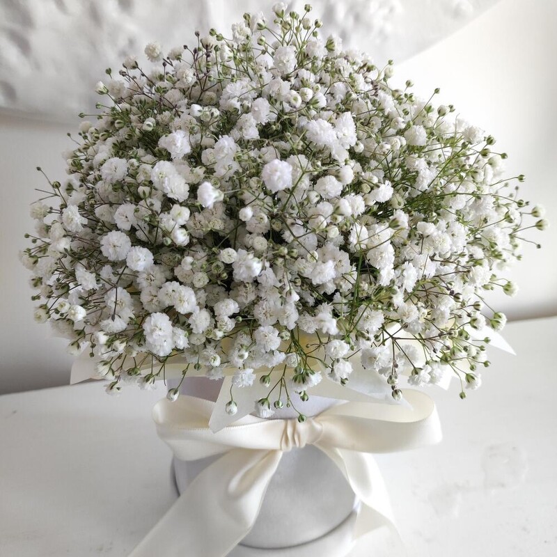 Коробочка с гипсофилой