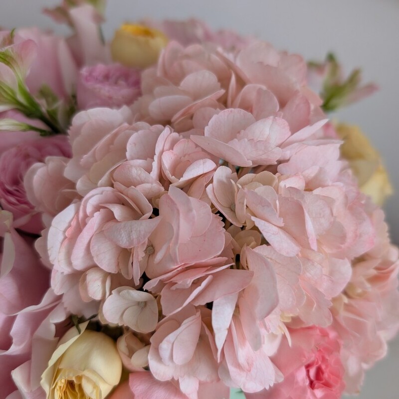 Мятная коробочкас гортензией