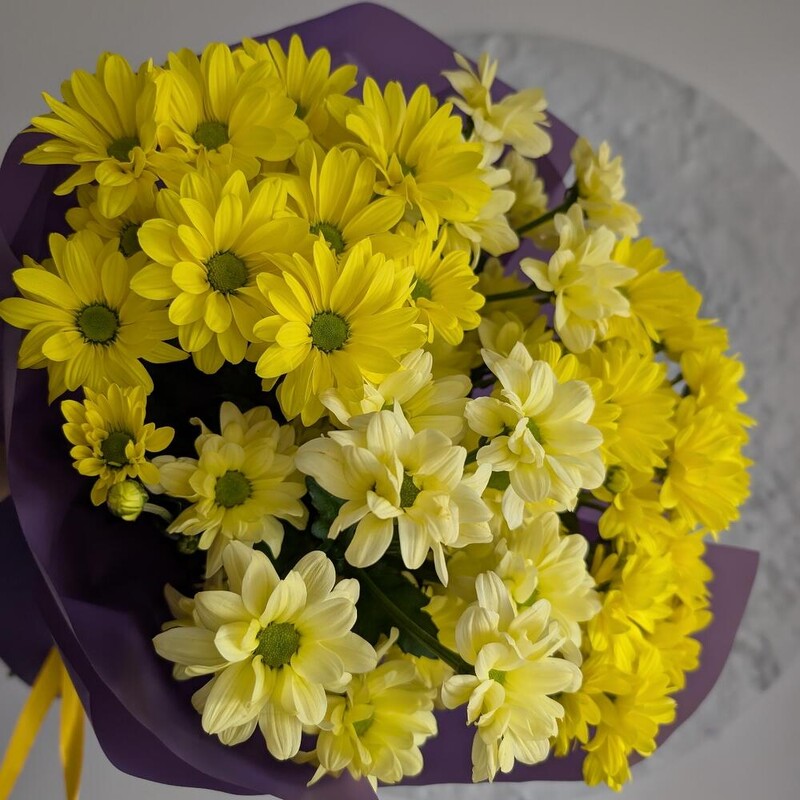 Ромашки солнечные