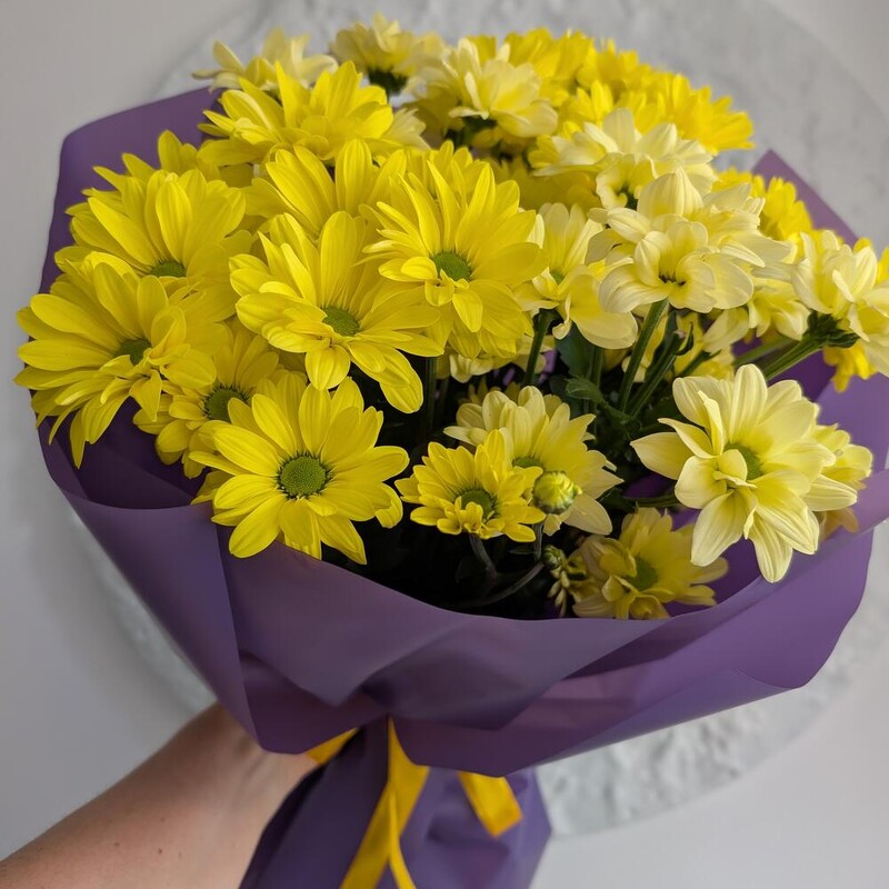 Ромашки солнечные