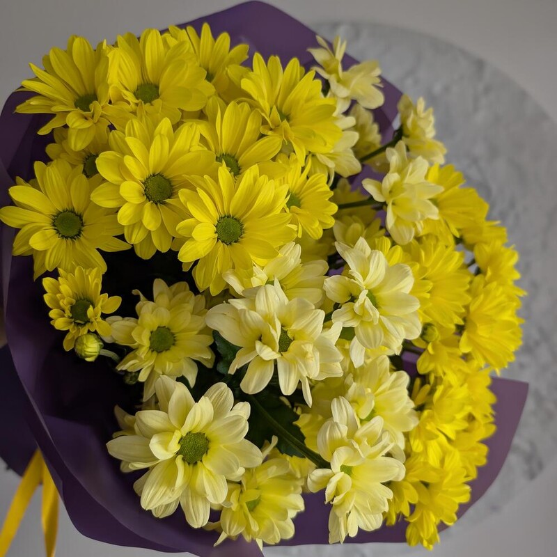 Ромашки солнечные