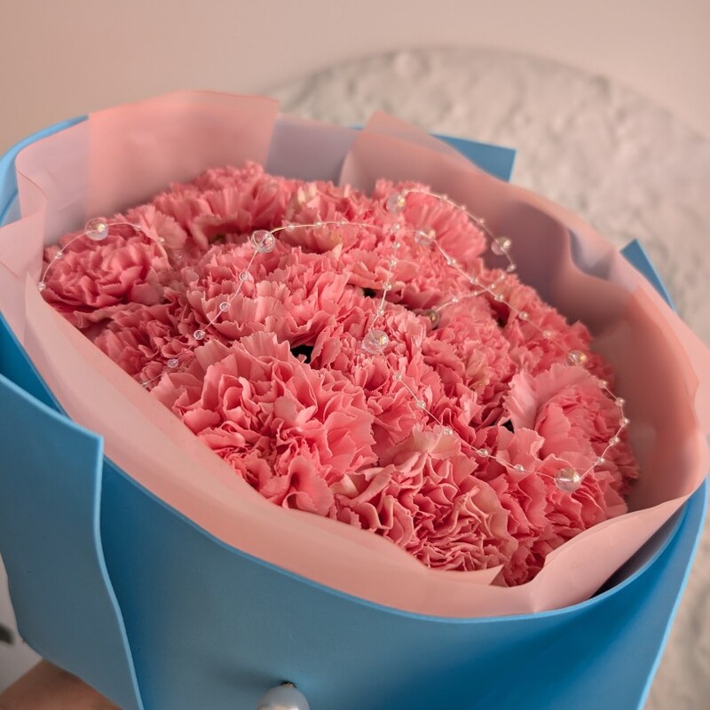 Розовые диантусы