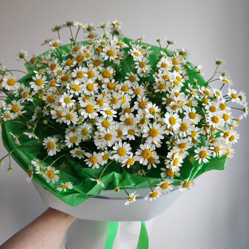 Ромашковый букет