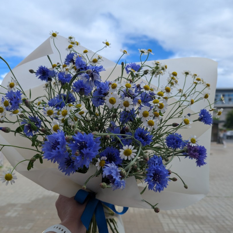Букет полевых цветов 